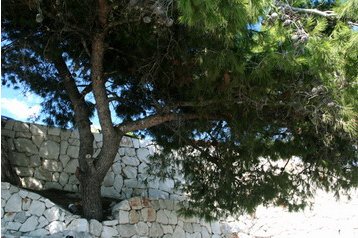 Croacia Privát Duće, Exterior